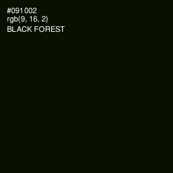 #091002 - Black Forest Color Image